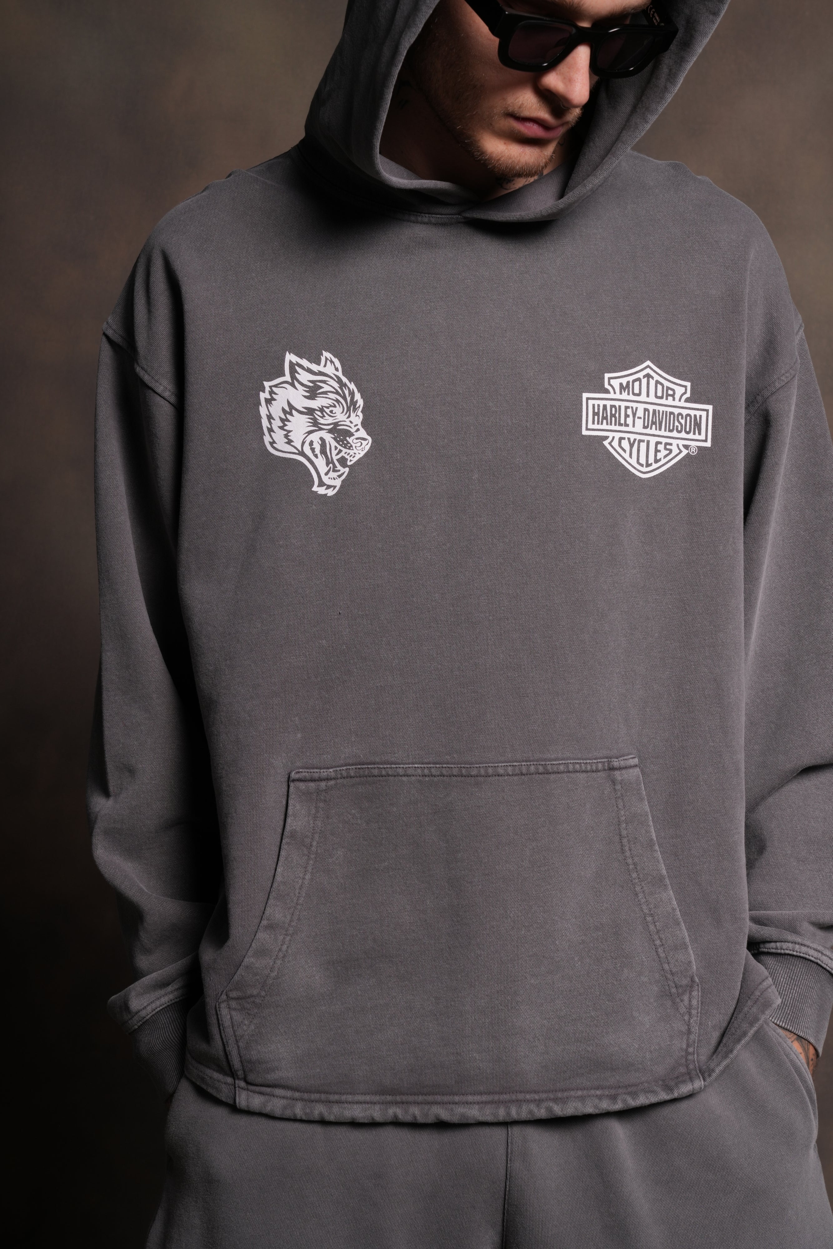 Harley-Davidson Wolves "Moaty" Hoodie in Slate Gray - Image 7