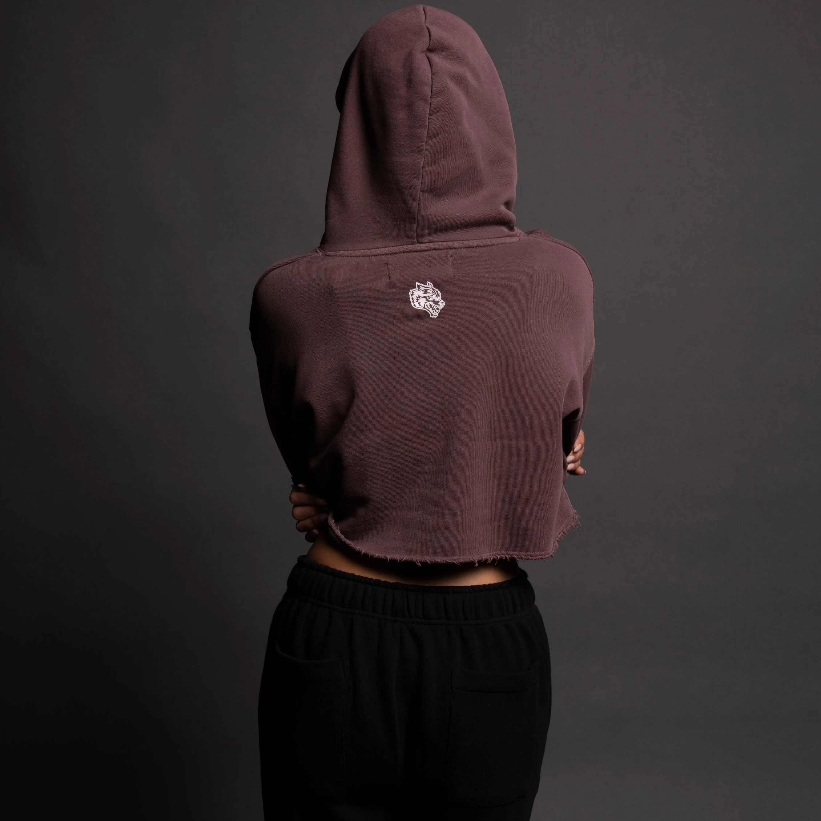 Keep Climbing "Pierce" (Cropped) Hoodie in Rose Taupe - Image 2