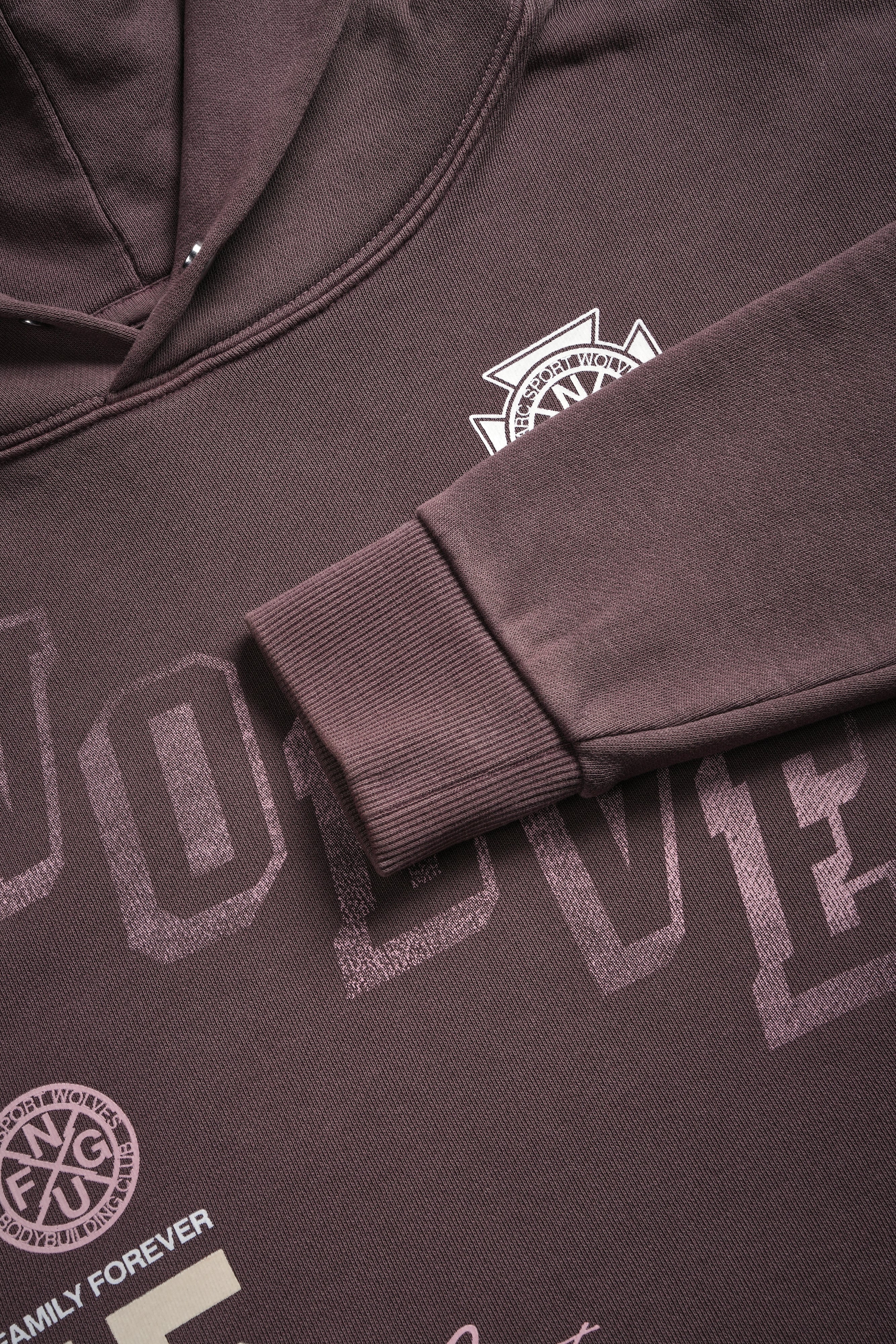Keep Climbing "Pierce" (Cropped) Hoodie in Rose Taupe - Image 6