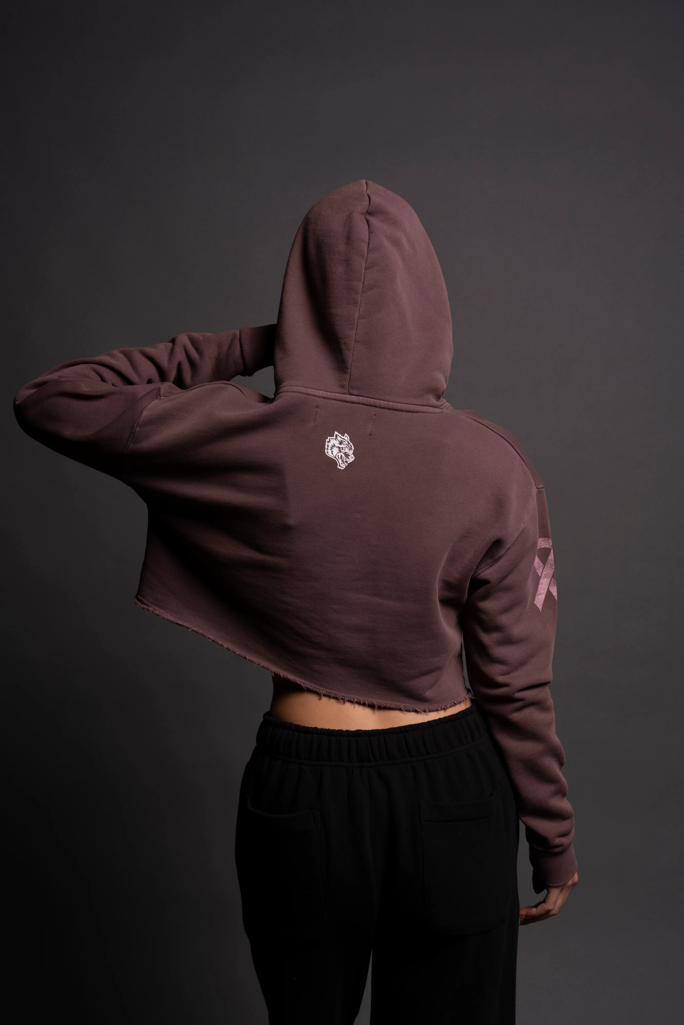 Keep Climbing "Pierce" (Cropped) Hoodie in Rose Taupe - Image 7