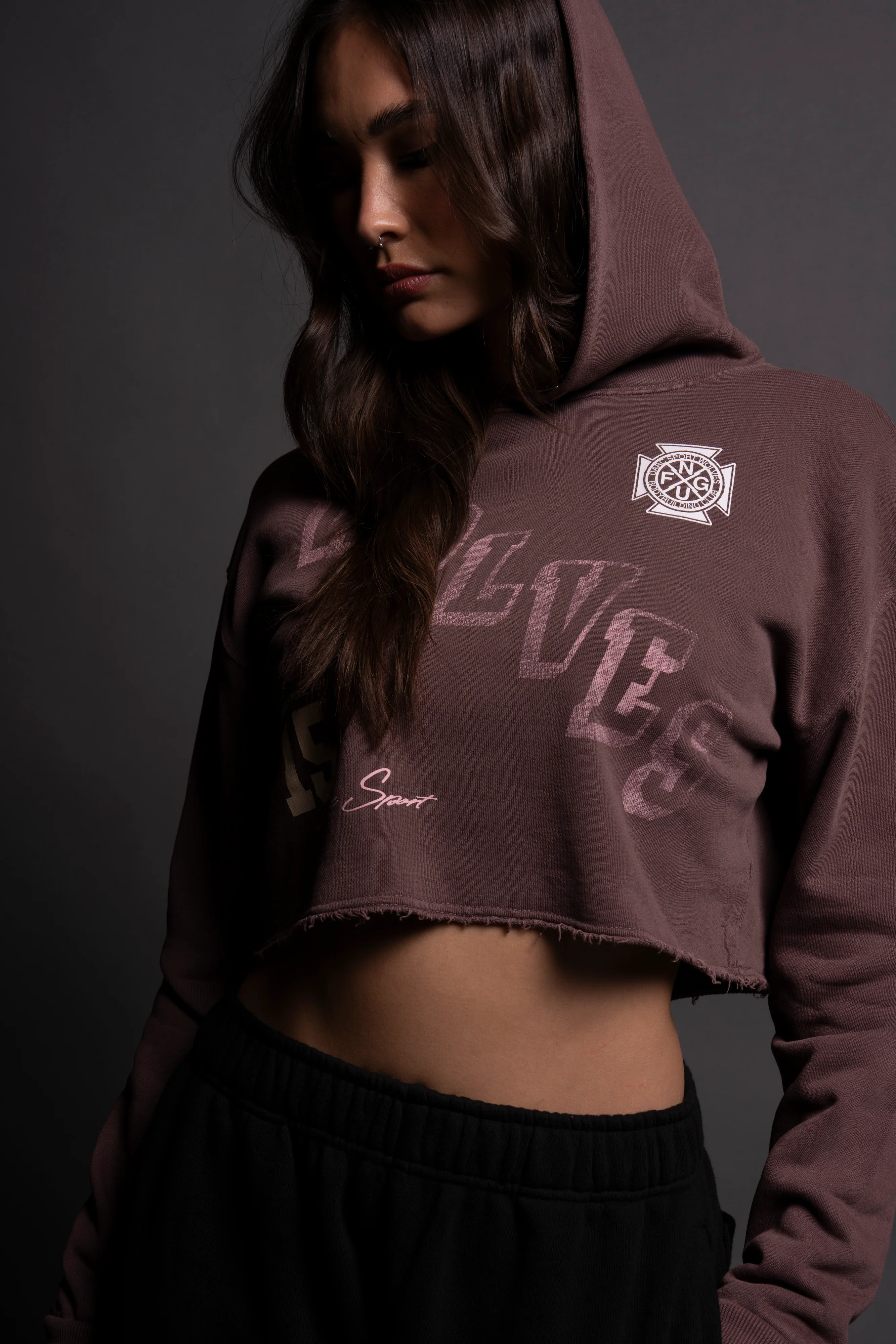 Keep Climbing "Pierce" (Cropped) Hoodie in Rose Taupe - Image 9
