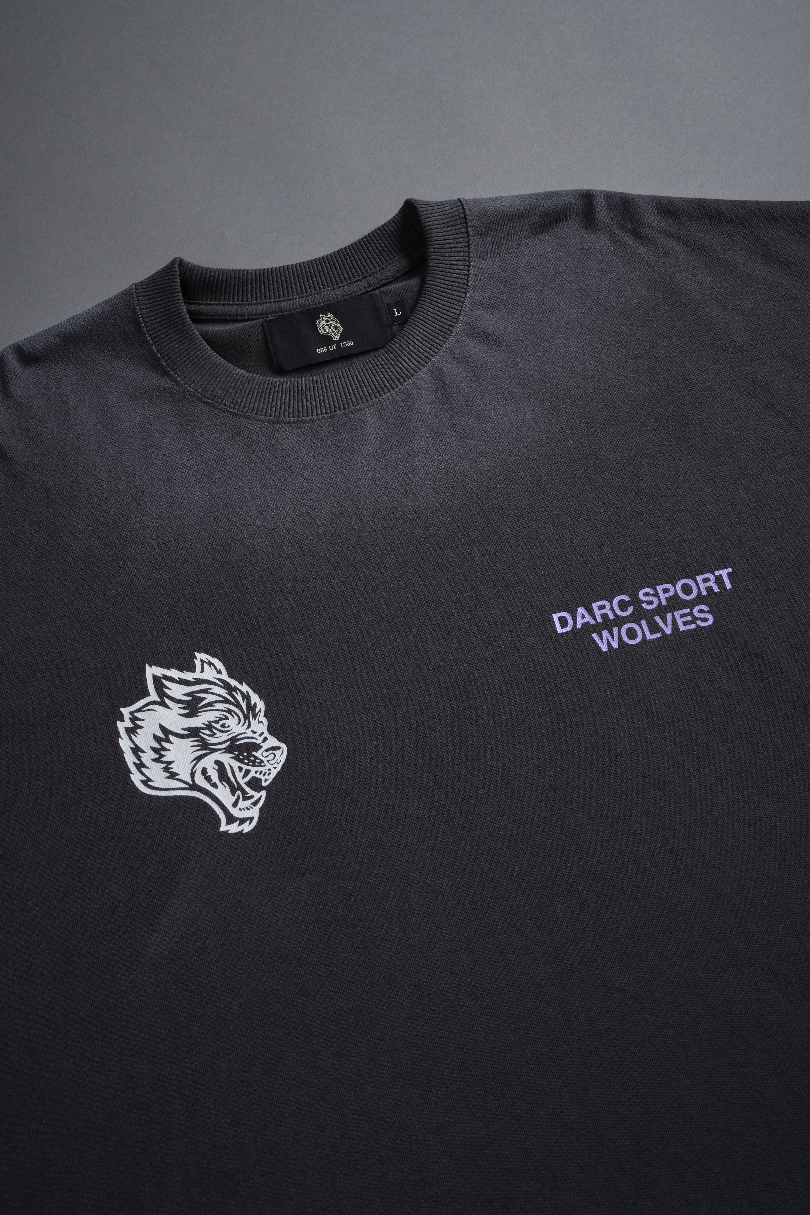 Pegasus Storm Grunge Cut-Off Tee in Wolf Gray Drift Wash - Image 4