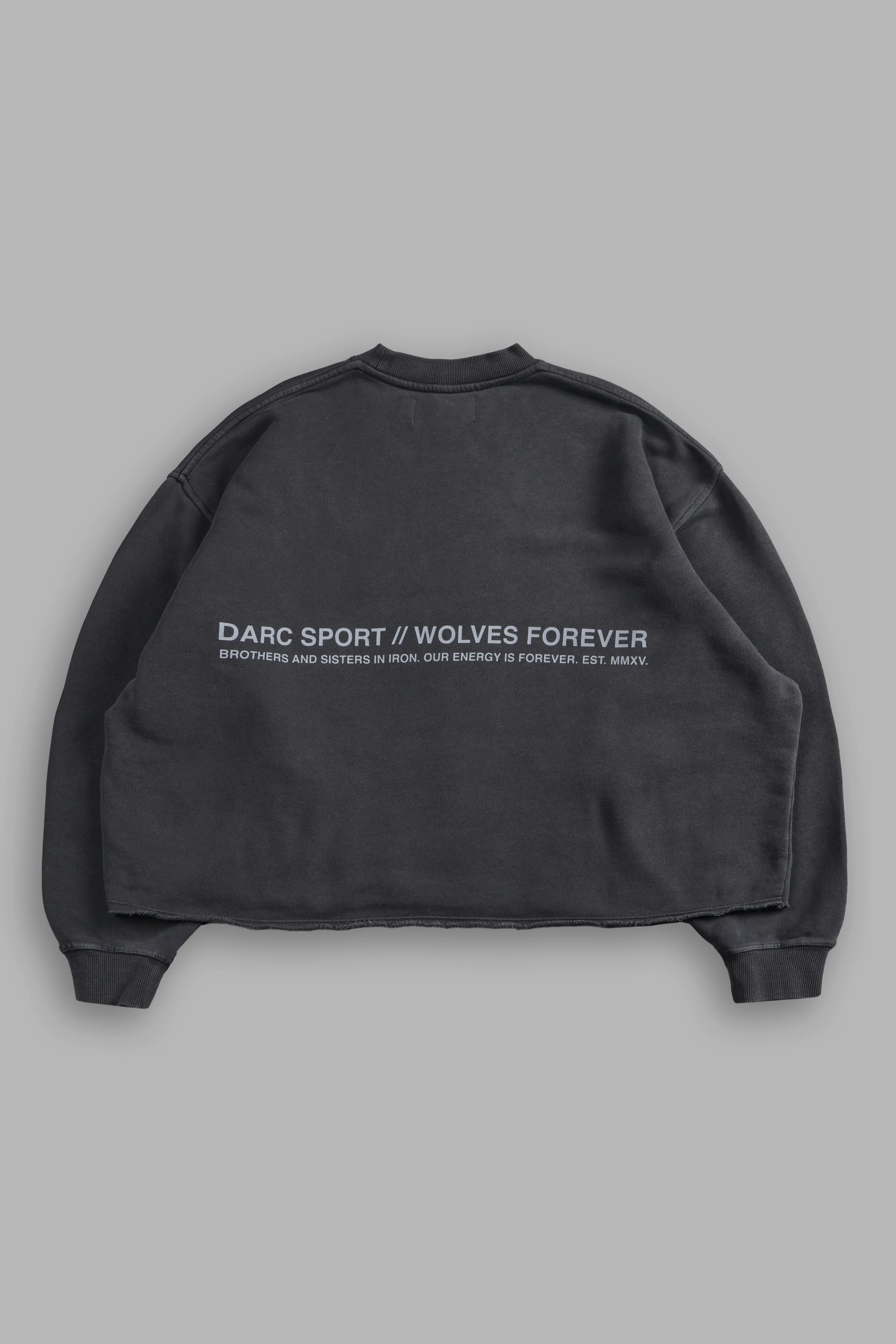 Pyramid Wolves Raw Hem "Box Cut" Crewneck in Wolf Gray - Image 3
