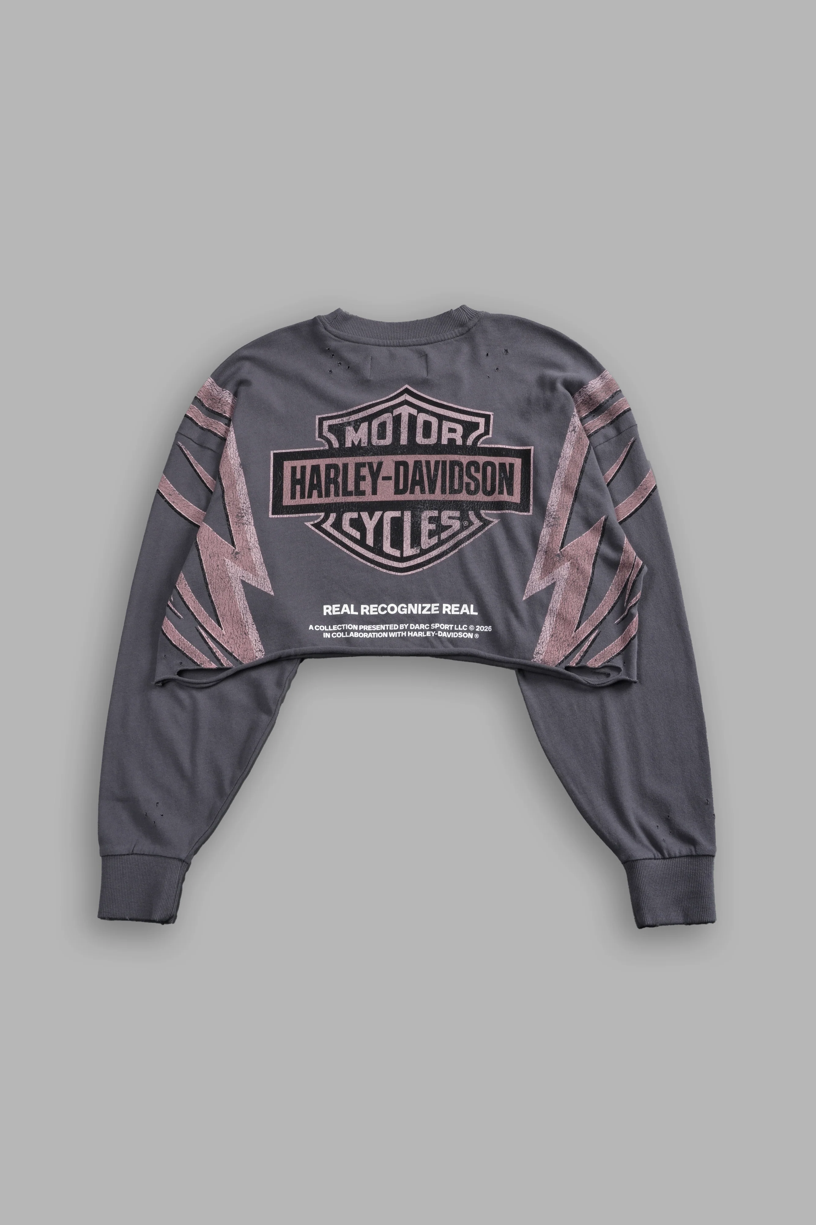 Real Recognize Real Distressed Oversized Cropped L/S Tee in Slate Gray - Image 4