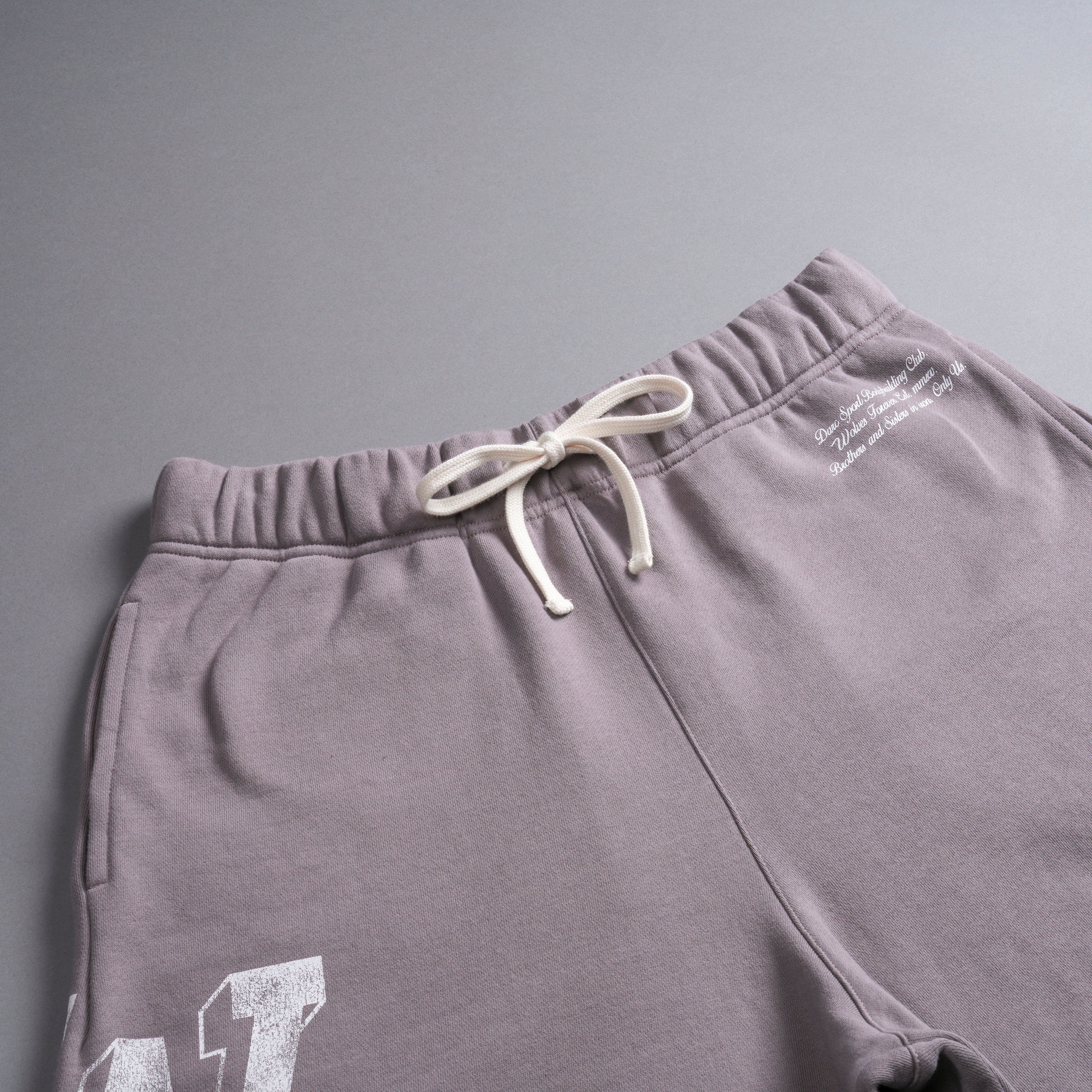 Riders Oversized Post Lounge Sweat Shorts in Pale Gray - Image 8