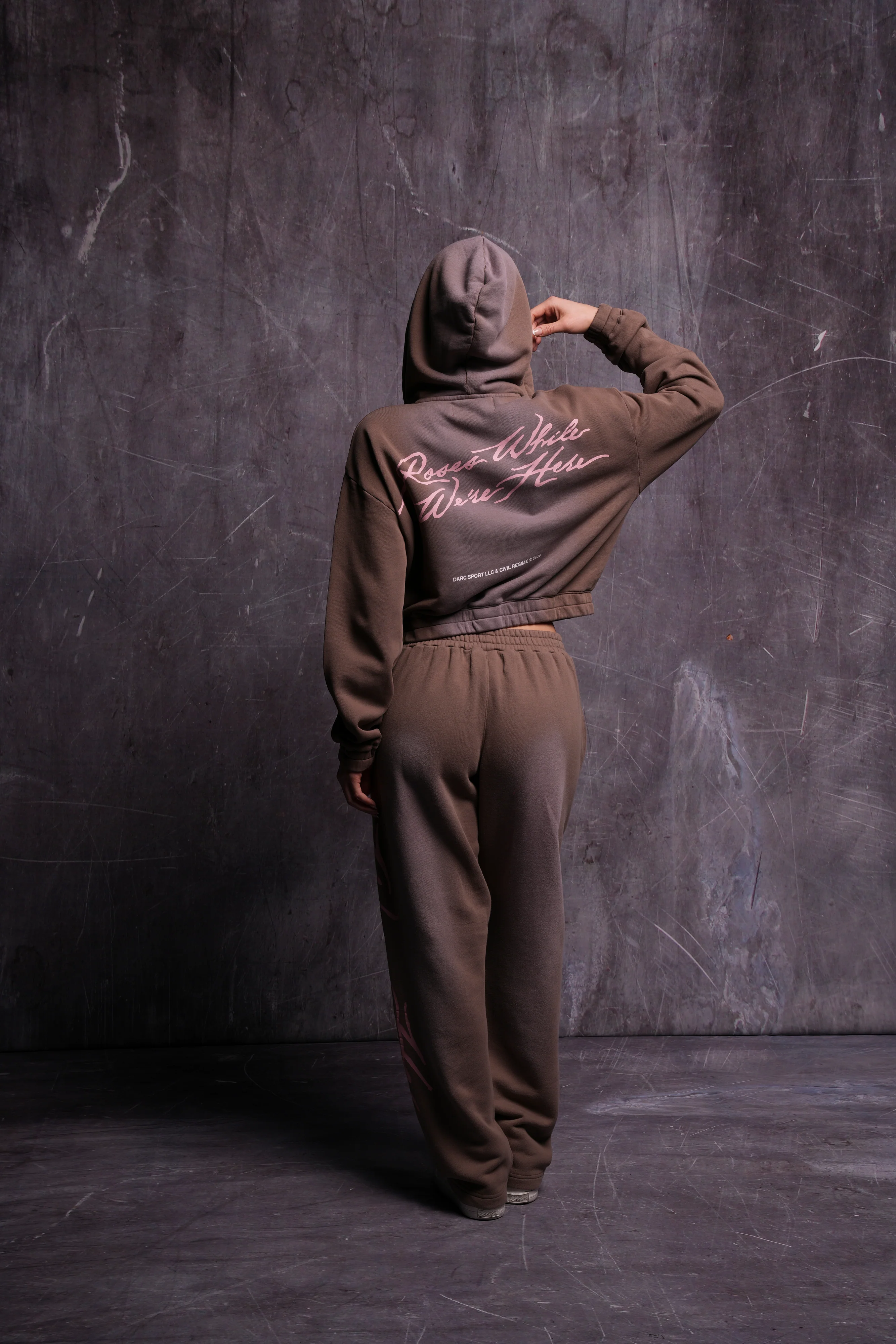 Roses While We're Here "Chambers" (Cropped) Zip Hoodie in Mojave Brown Sun Fade - Image 7