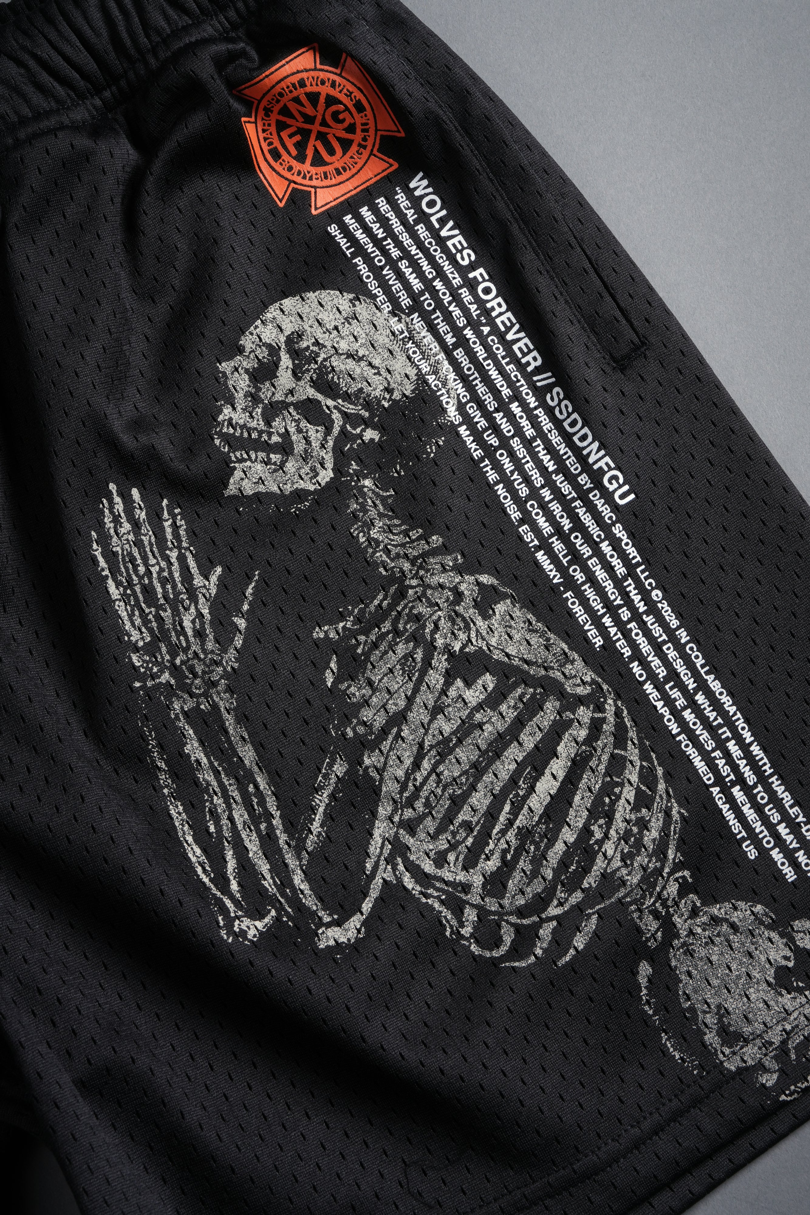 The Eagle & The Wolf Mesh Shorts in Black - Image 11