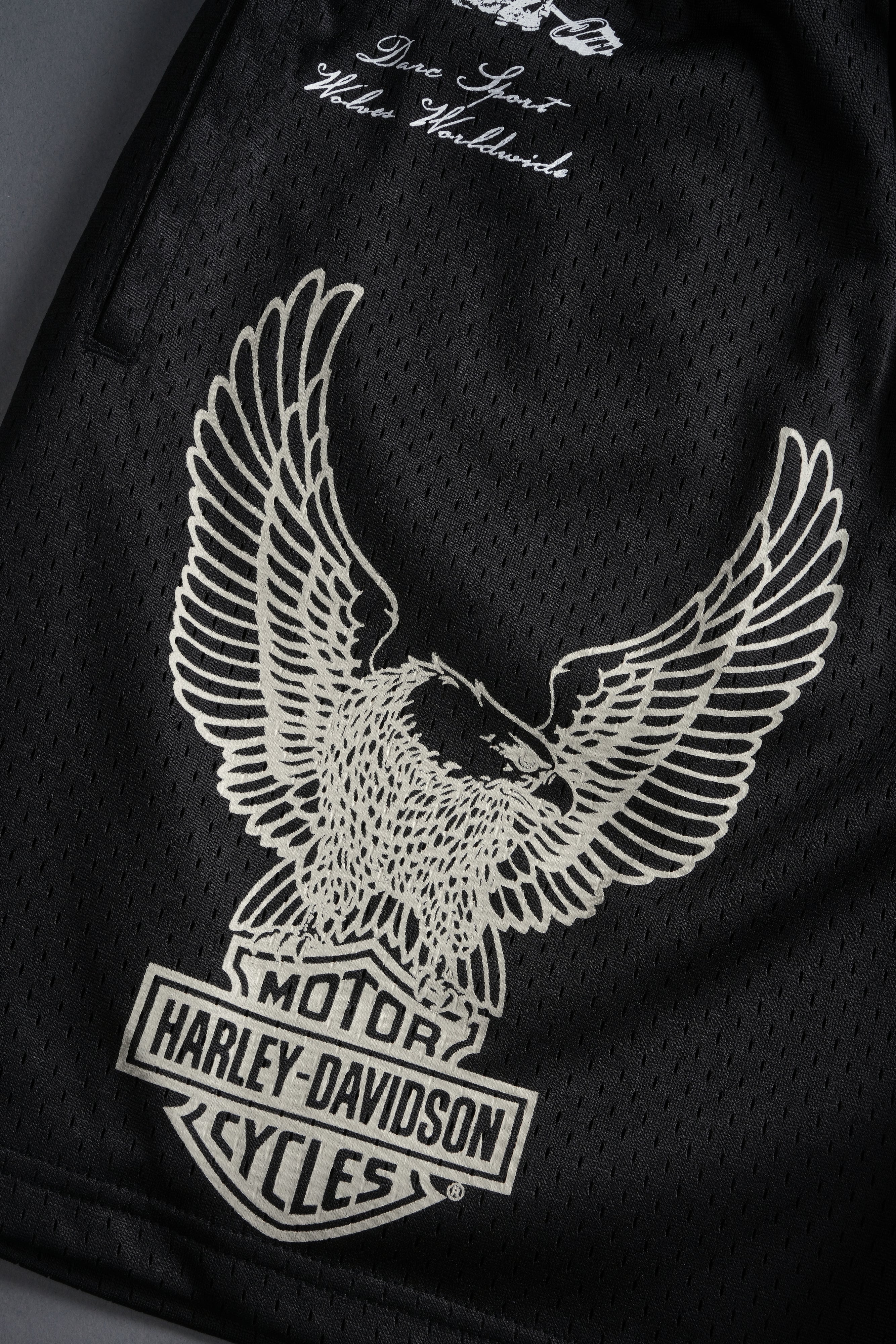 The Eagle & The Wolf Mesh Shorts in Black - Image 12