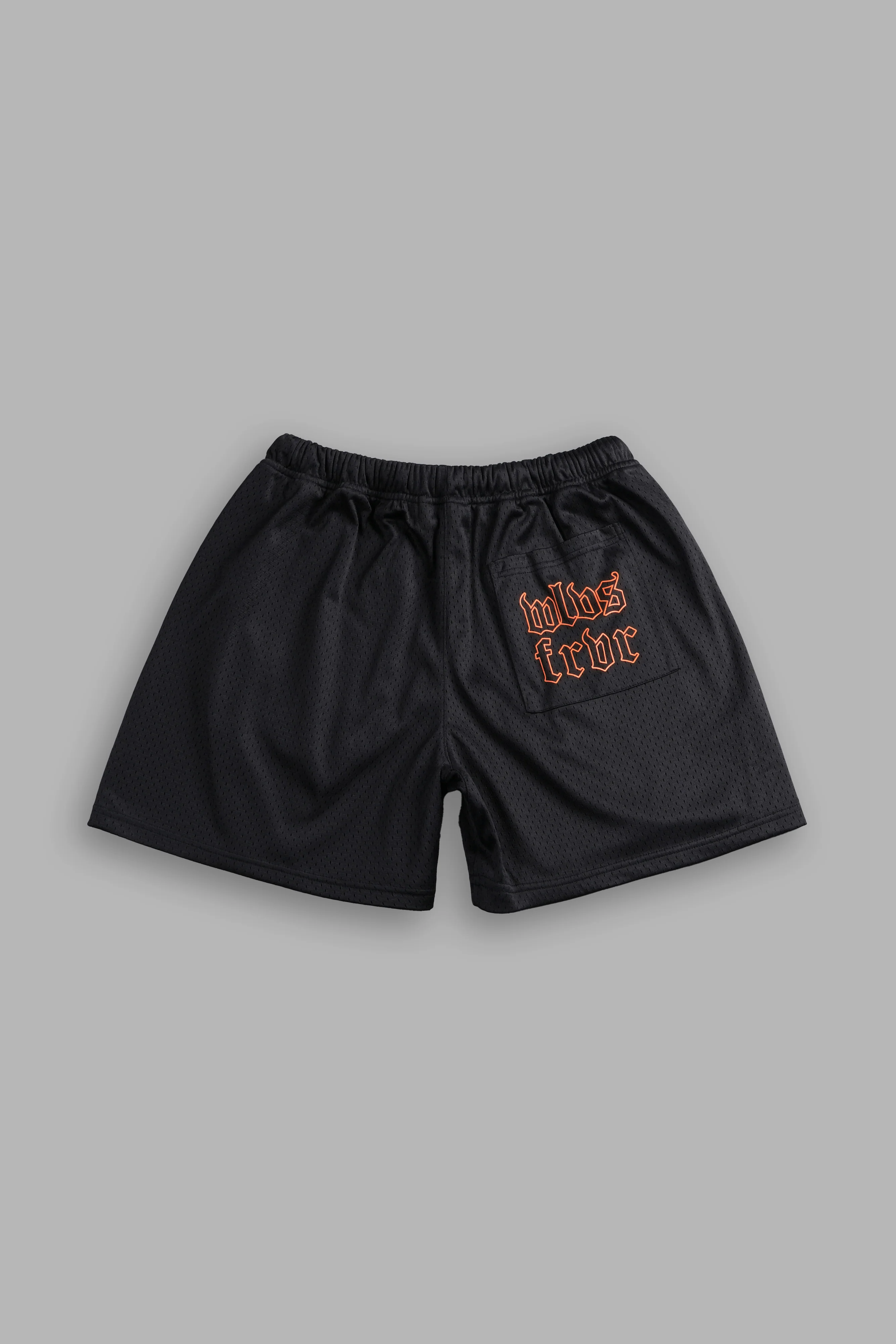 The Eagle & The Wolf Mesh Shorts in Black - Image 3
