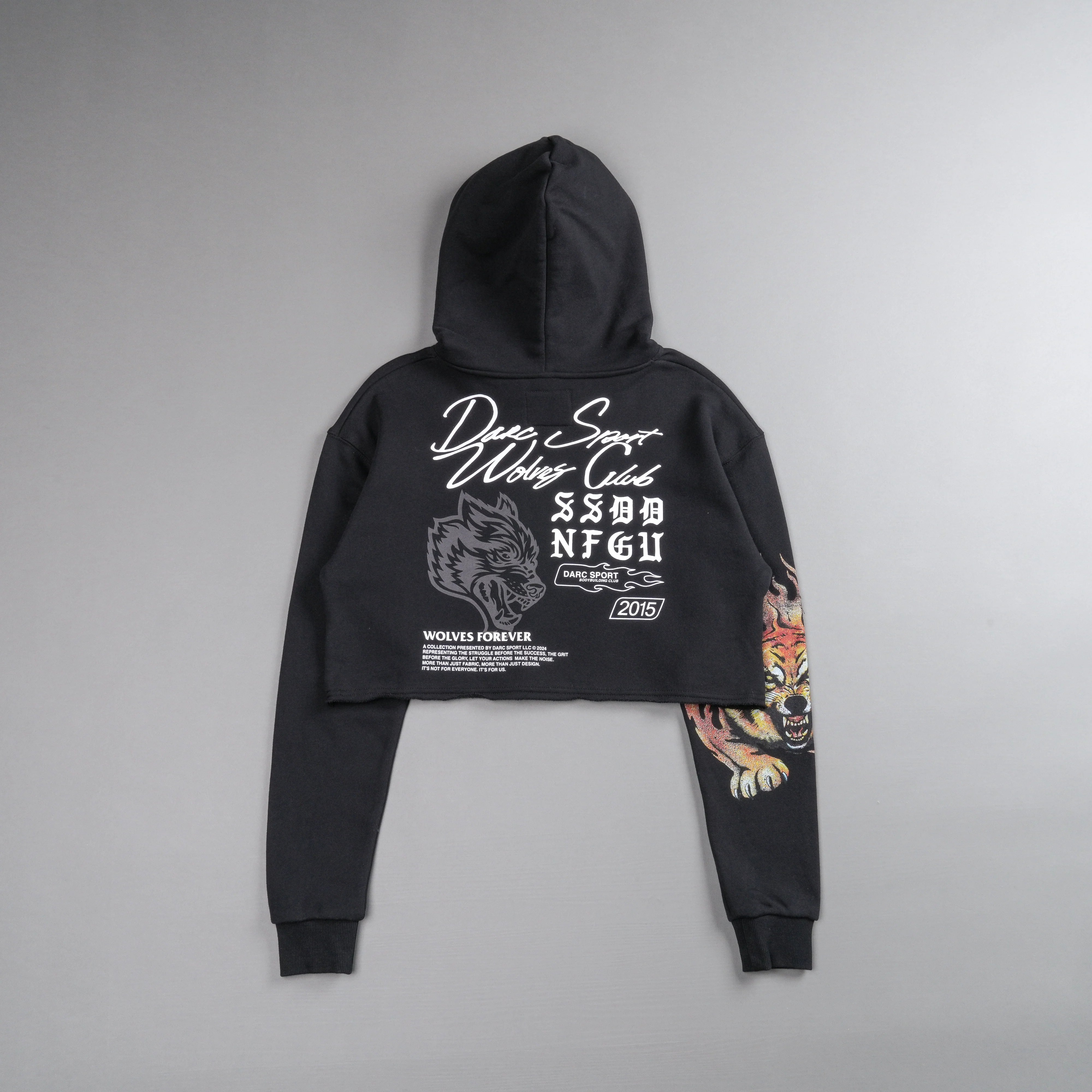 The Fire Within "Vintage Pierce" (Cropped) Hoodie in Black - Image 4
