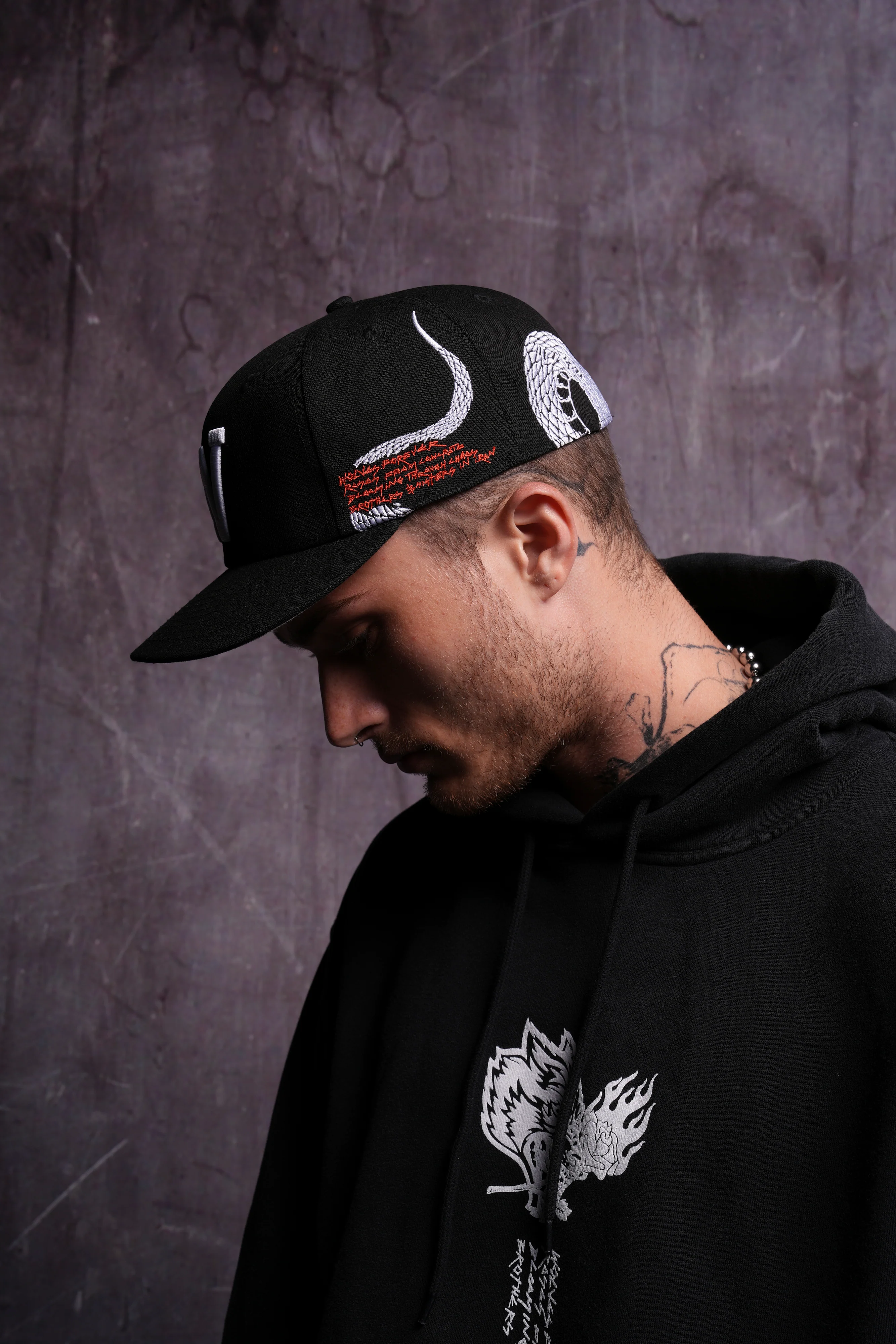 The Snake and The Rose Fitted Hat in Black - Image 4