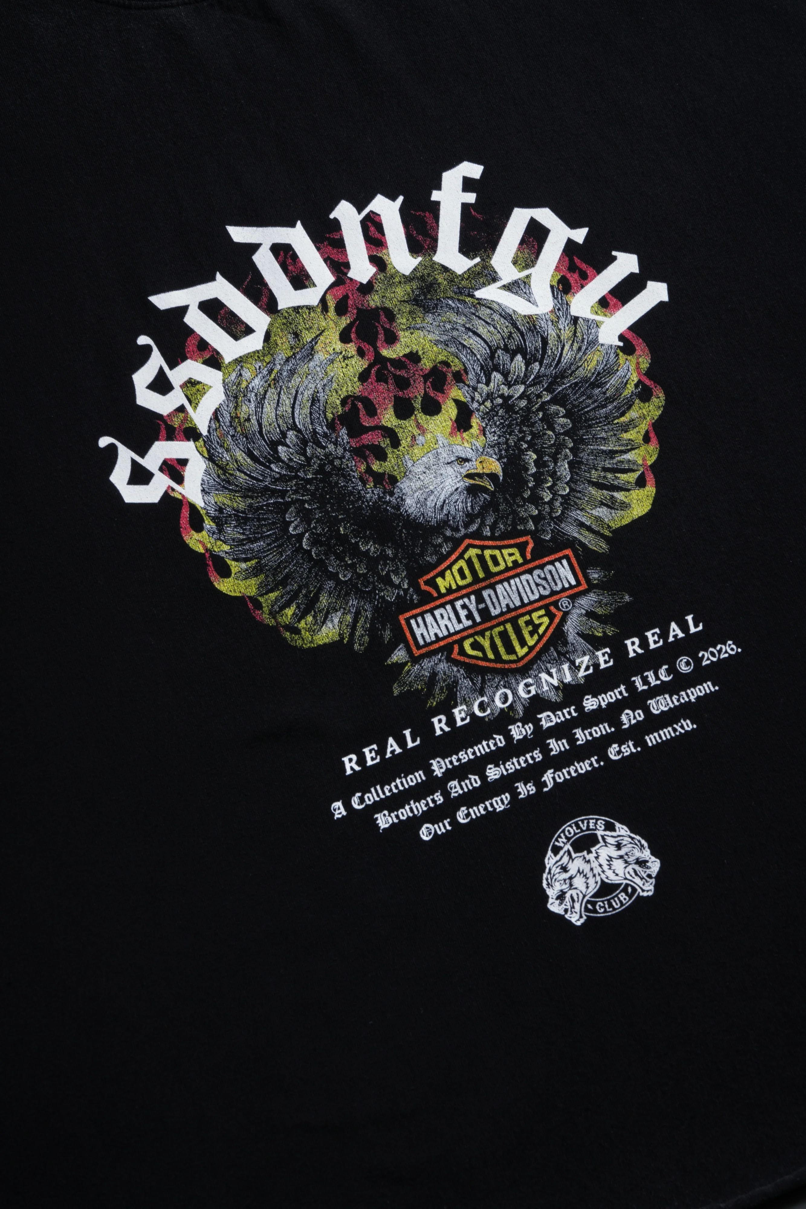 Wings of Fire Grunge Cut-Off Tee in Black - Image 9