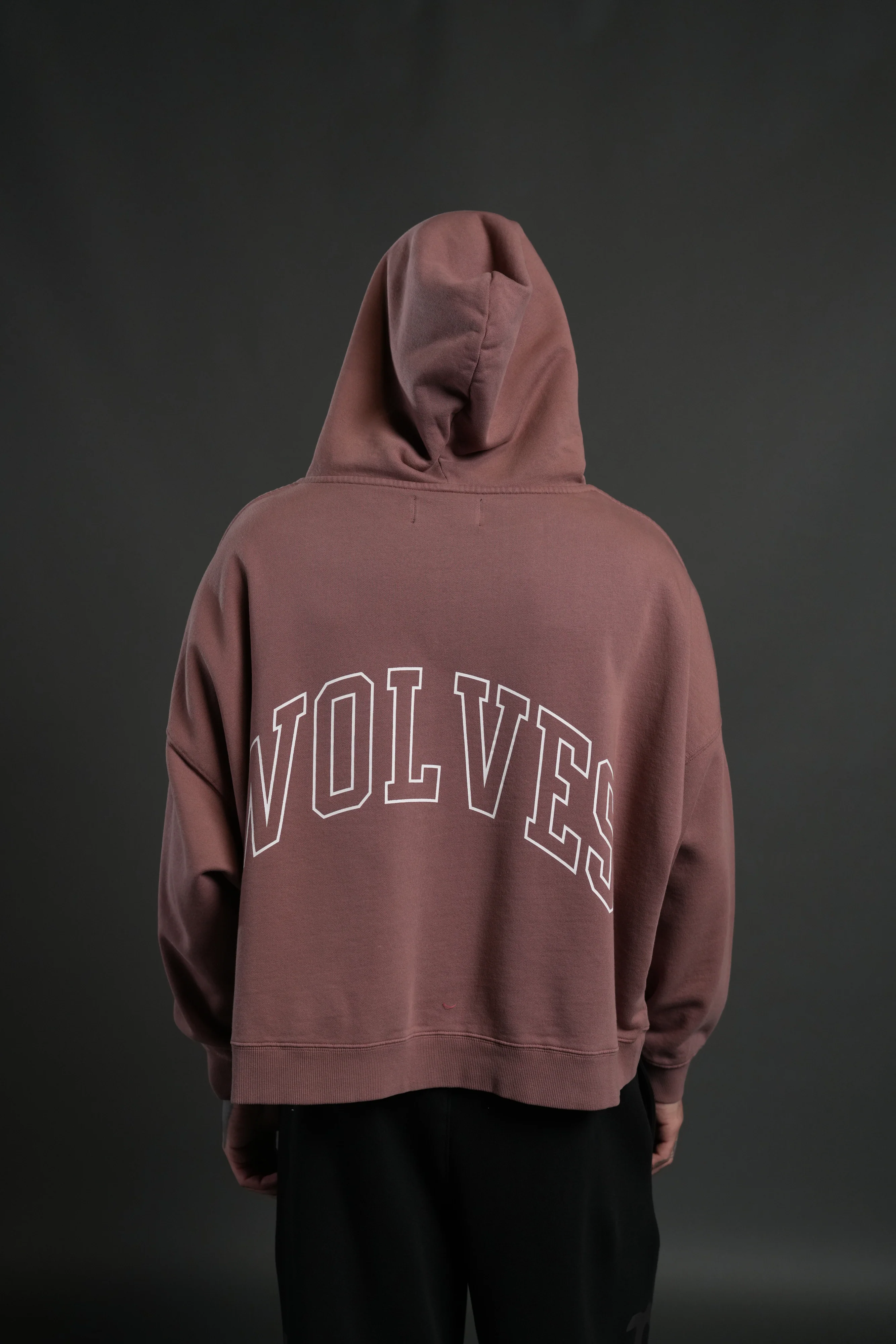 Wolf of the Flame Grunge "Gage Box Cut" Hoodie in Mauve - Image 2