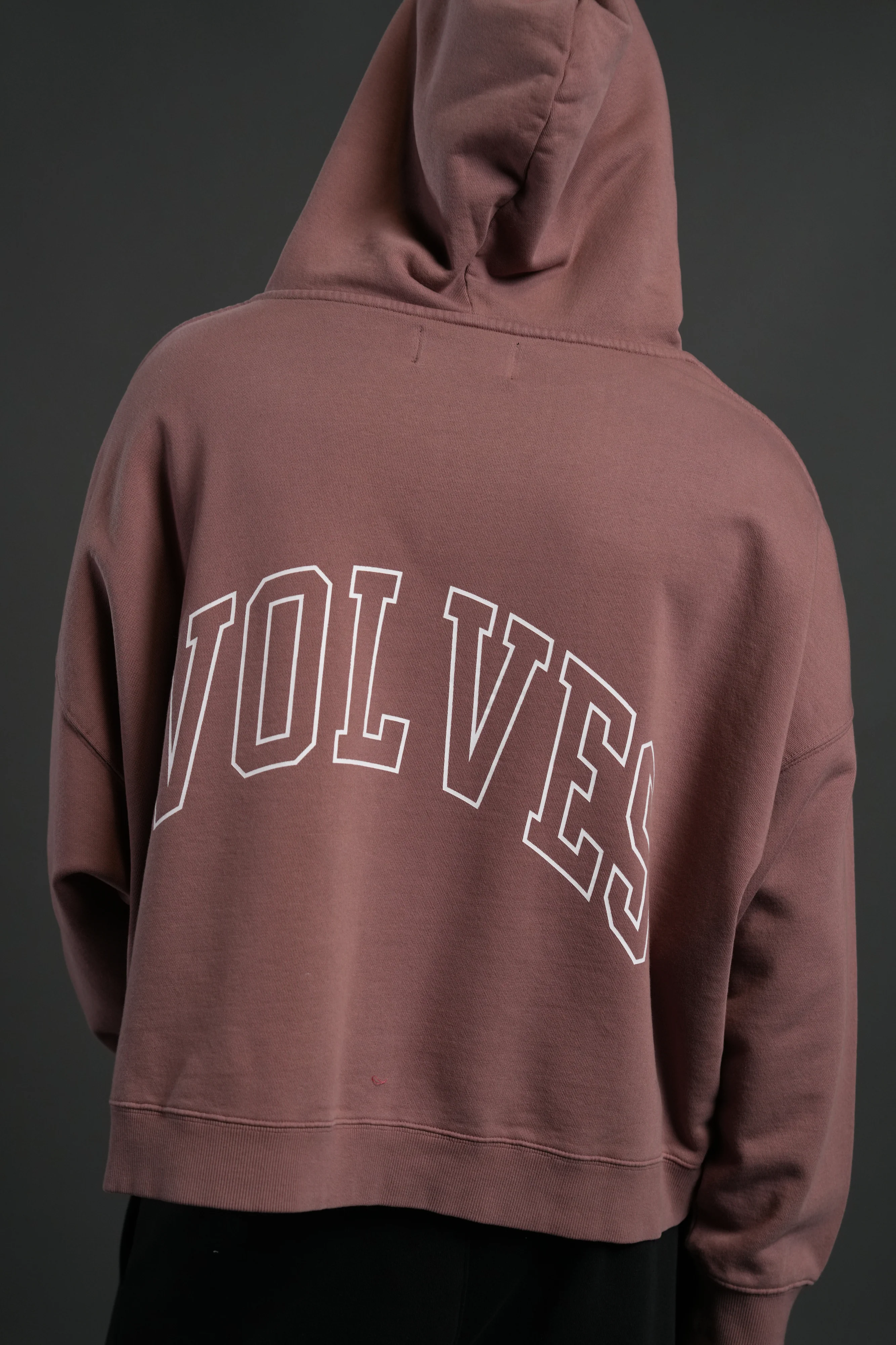 Wolf of the Flame Grunge "Gage Box Cut" Hoodie in Mauve - Image 5