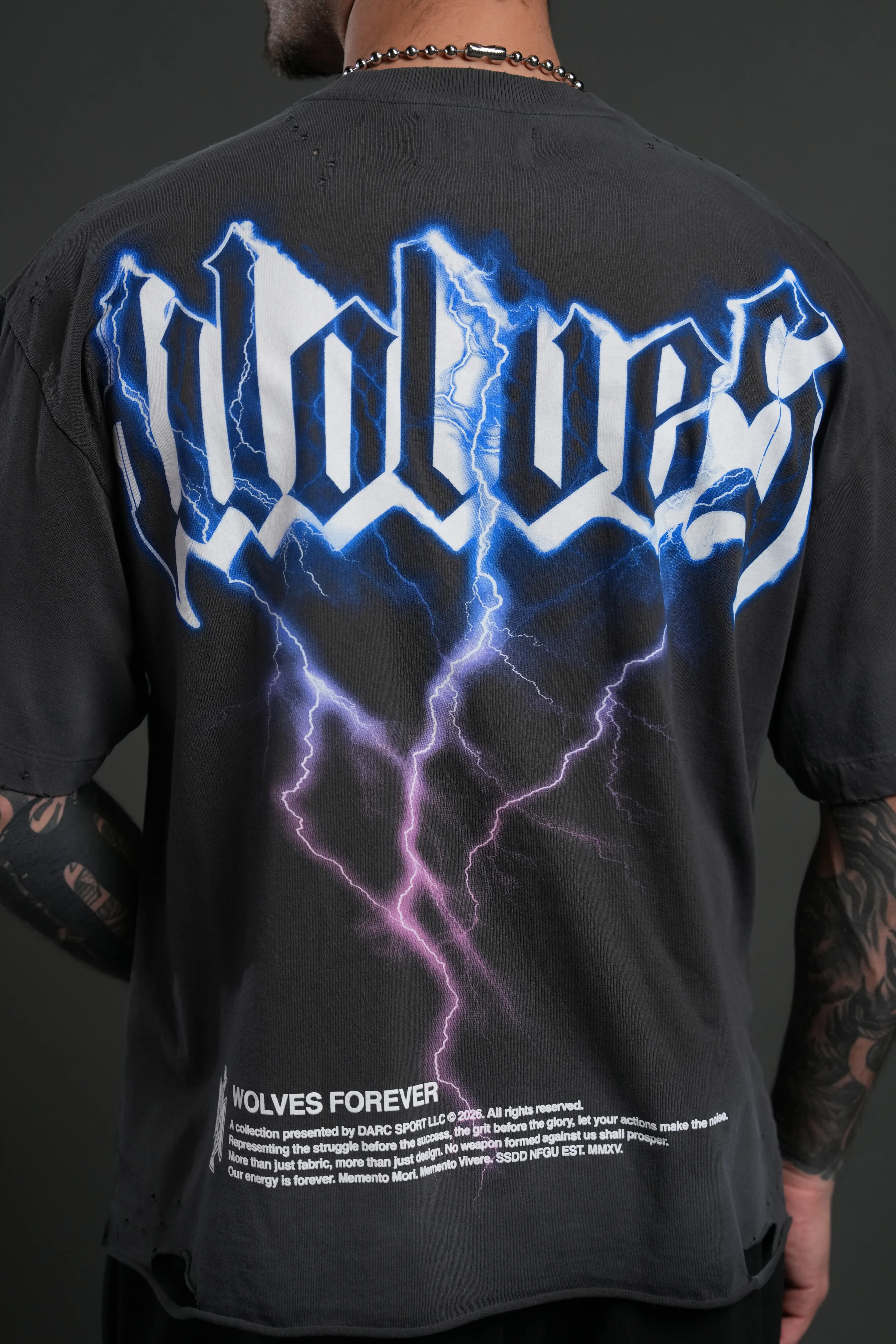 Wolves Lightning Distressed Grunge Tee in Wolf Gray Drift Wash - Image 6